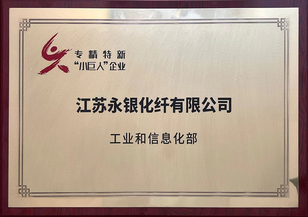 國家級專精特新“小巨人”企業(yè)
